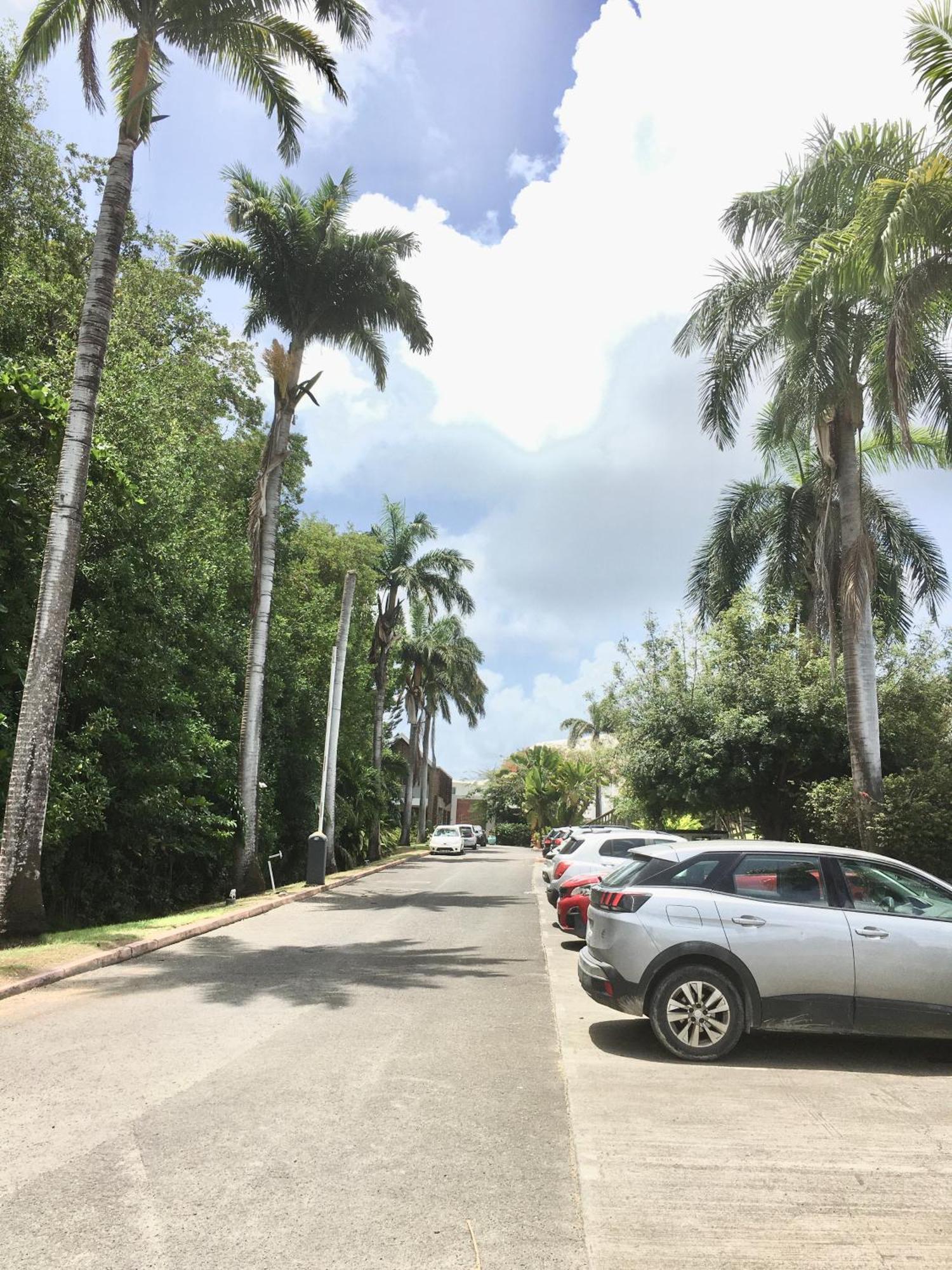 Appartement St Francois Manganao Guadeloupe Saint-Francois  Bagian luar foto