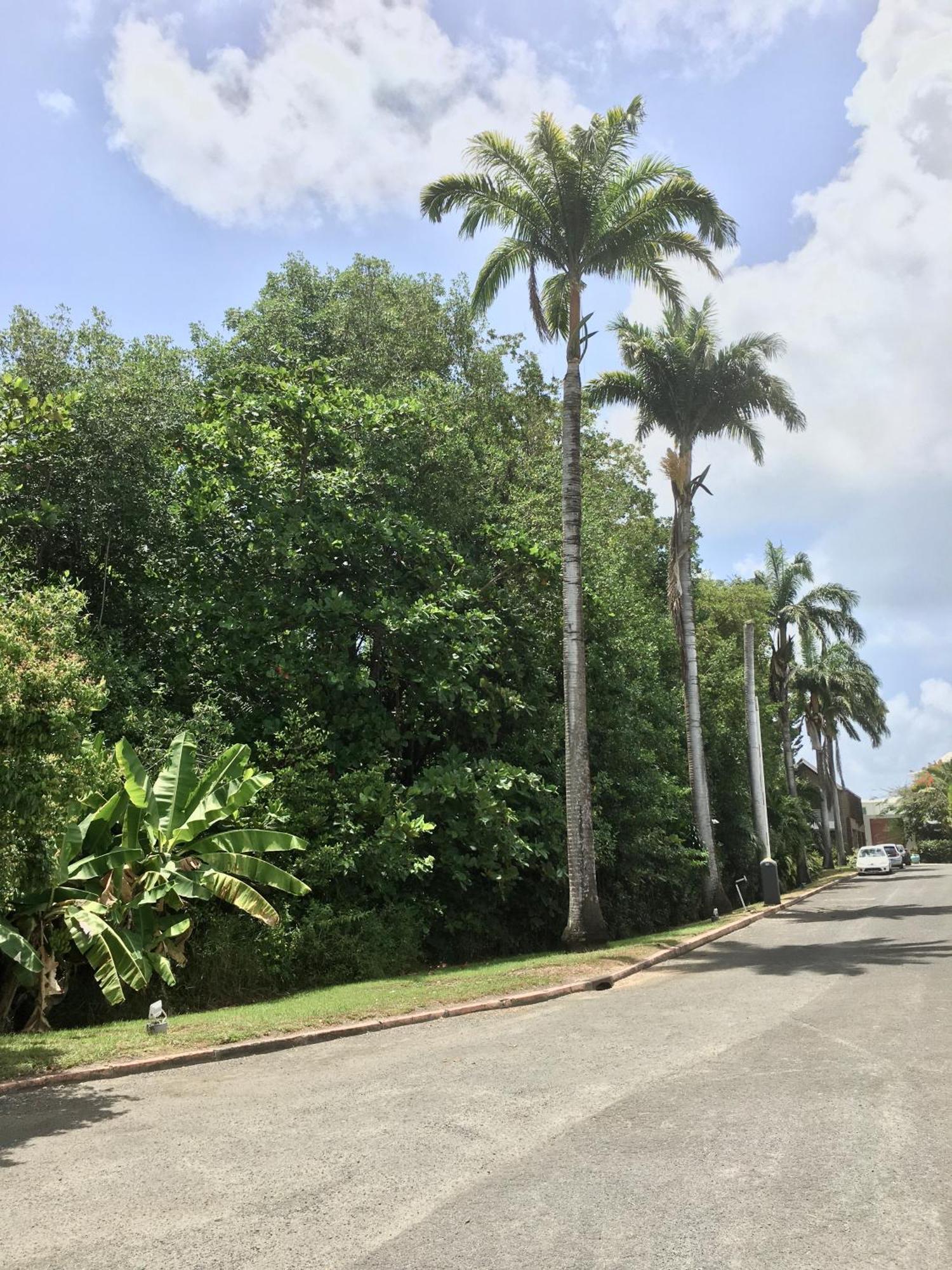 Appartement St Francois Manganao Guadeloupe Saint-Francois  Bagian luar foto